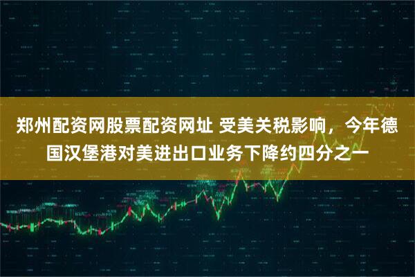 郑州配资网股票配资网址 受美关税影响，今年德国汉堡港对美进出口业务下降约四分之一