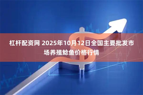 杠杆配资网 2025年10月12日全国主要批发市场养殖鲶鱼价格行情