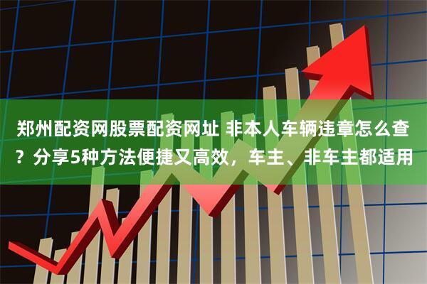 郑州配资网股票配资网址 非本人车辆违章怎么查？分享5种方法便捷又高效，车主、非车主都适用